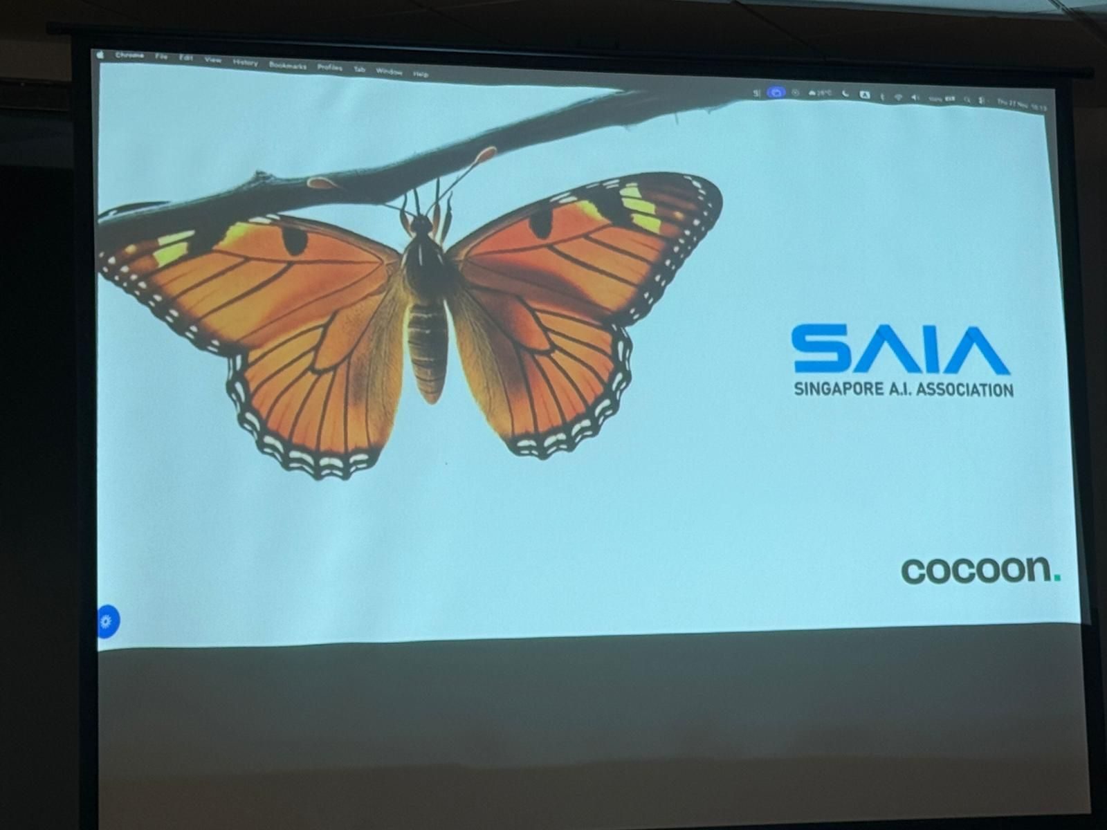 A presentation during the SAIA and Cocoon workshop
